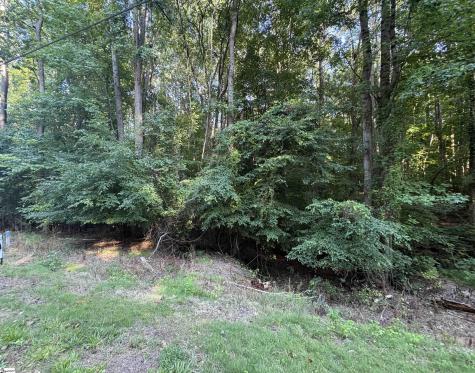 8 Trey Lane Ware Shoals SC 93442