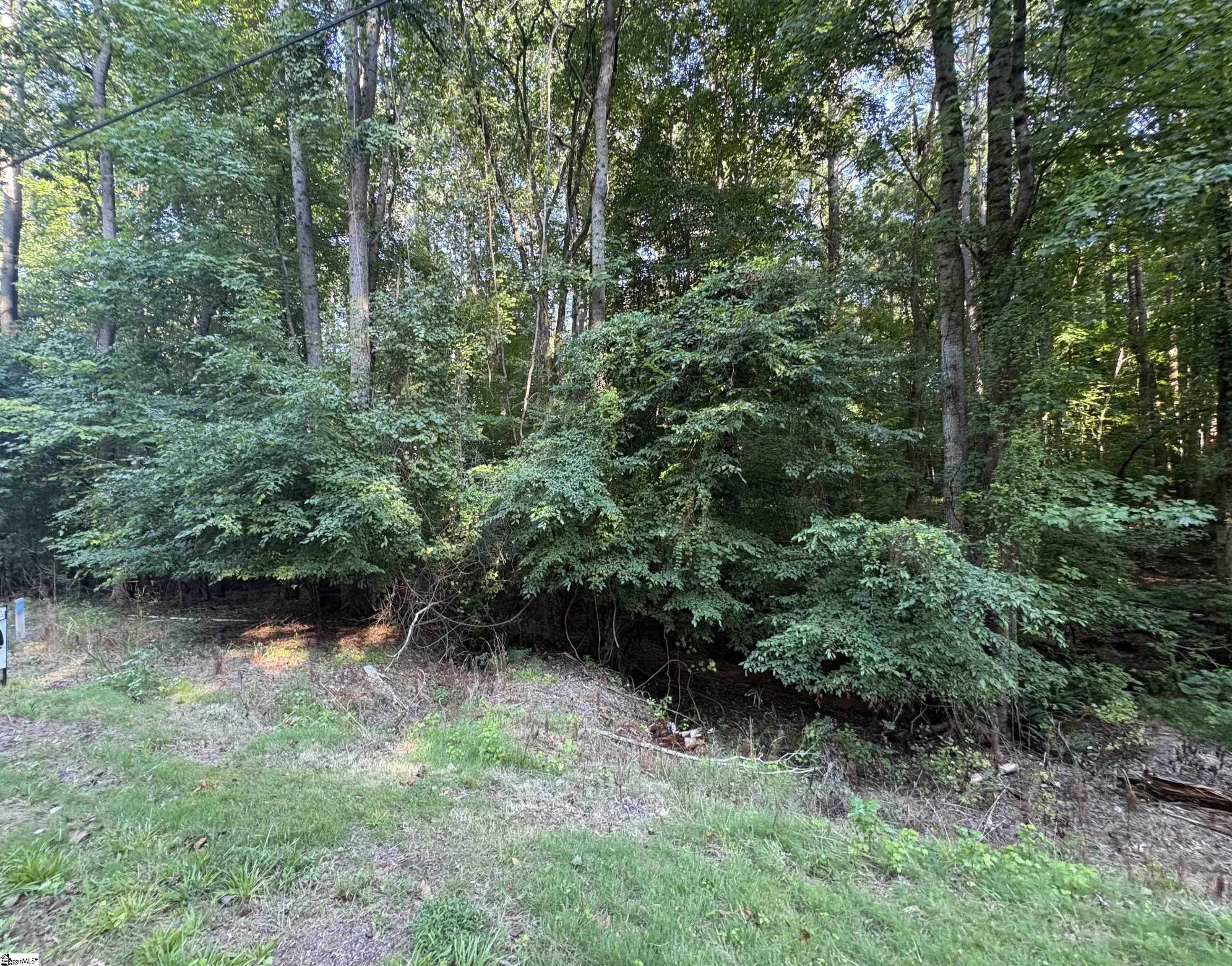 8 Trey Lane Ware Shoals SC 93442