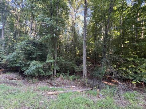 8 Trey Lane Ware Shoals SC 93442