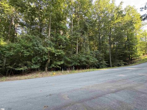 8 Trey Lane Ware Shoals SC 93442