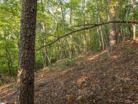 00 Anthony Road Pickens SC 29671