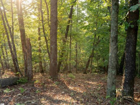 00 Anthony Road Pickens SC 29671