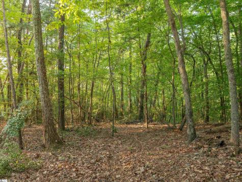 00 Anthony Road Pickens SC 29671