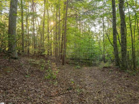 00 Anthony Road Pickens SC 29671