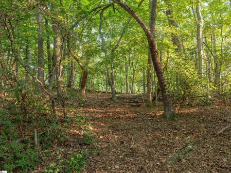 00 Anthony Road Pickens SC 29671
