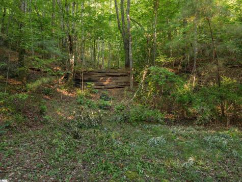 00 Anthony Road Pickens SC 29671