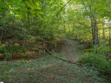 00 Anthony Road Pickens SC 29671