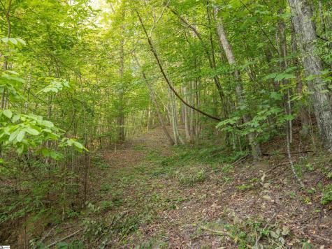 00 Anthony Road Pickens SC 29671