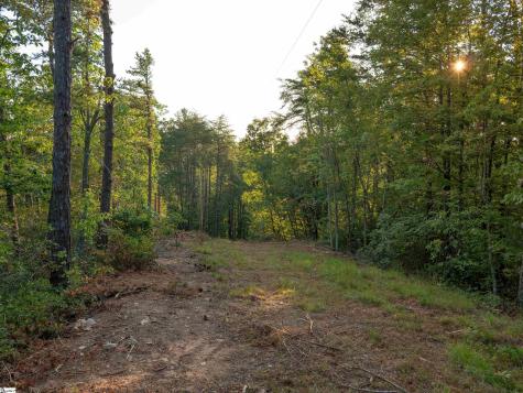 00 Anthony Road Pickens SC 29671