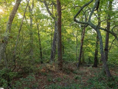 00 Anthony Road Pickens SC 29671