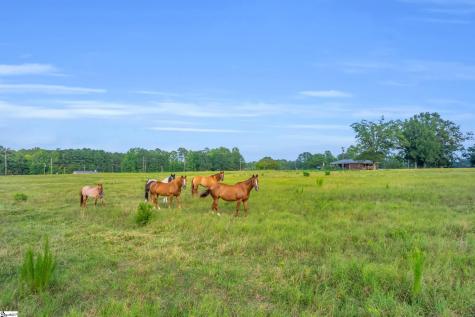 00 Docheno Road Belton SC 29627