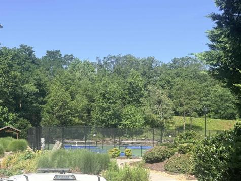 147 Raptor Way Landrum SC 29635
