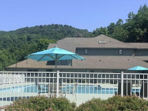 147 Raptor Way Landrum SC 29635