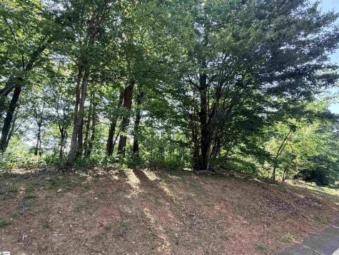 147 Raptor Way Landrum SC 29635