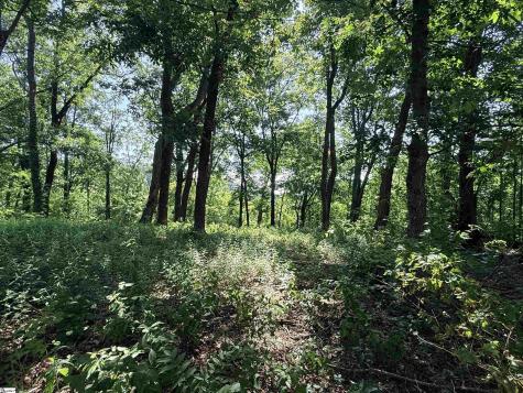 147 Raptor Way Landrum SC 29635