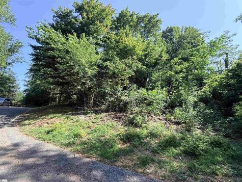 147 Raptor Way Landrum SC 29635