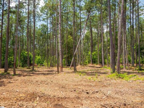 00 Cheek Road Gray Court SC 29645