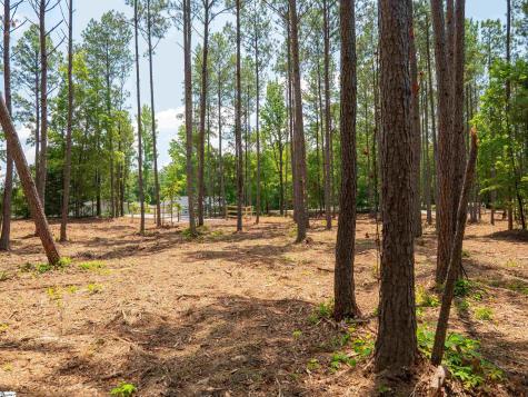 00 Cheek Road Gray Court SC 29645
