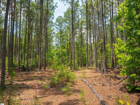 00 Cheek Road Gray Court SC 29645