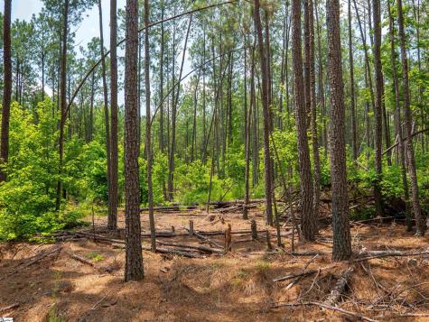 00 Cheek Road Gray Court SC 29645