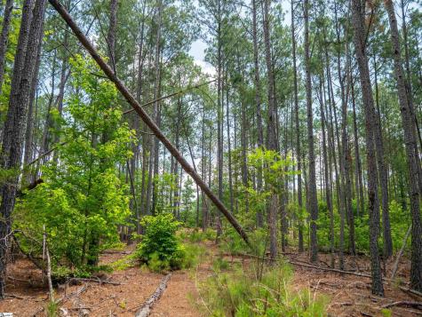 00 Cheek Road Gray Court SC 29645