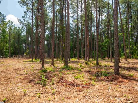 00 Cheek Road Gray Court SC 29645