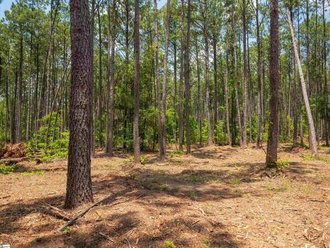 00 Cheek Road Gray Court SC 29645