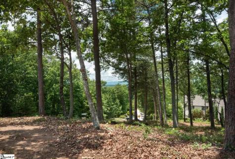 5 Donatello Court Greenville SC 29609
