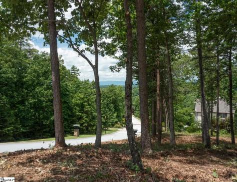 5 Donatello Court Greenville SC 29609