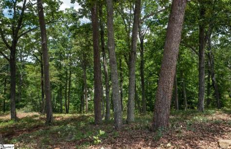 5 Donatello Court Greenville SC 29609