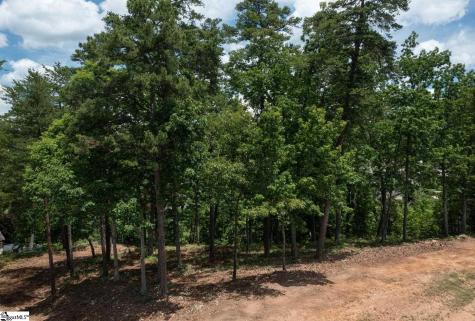 5 Donatello Court Greenville SC 29609