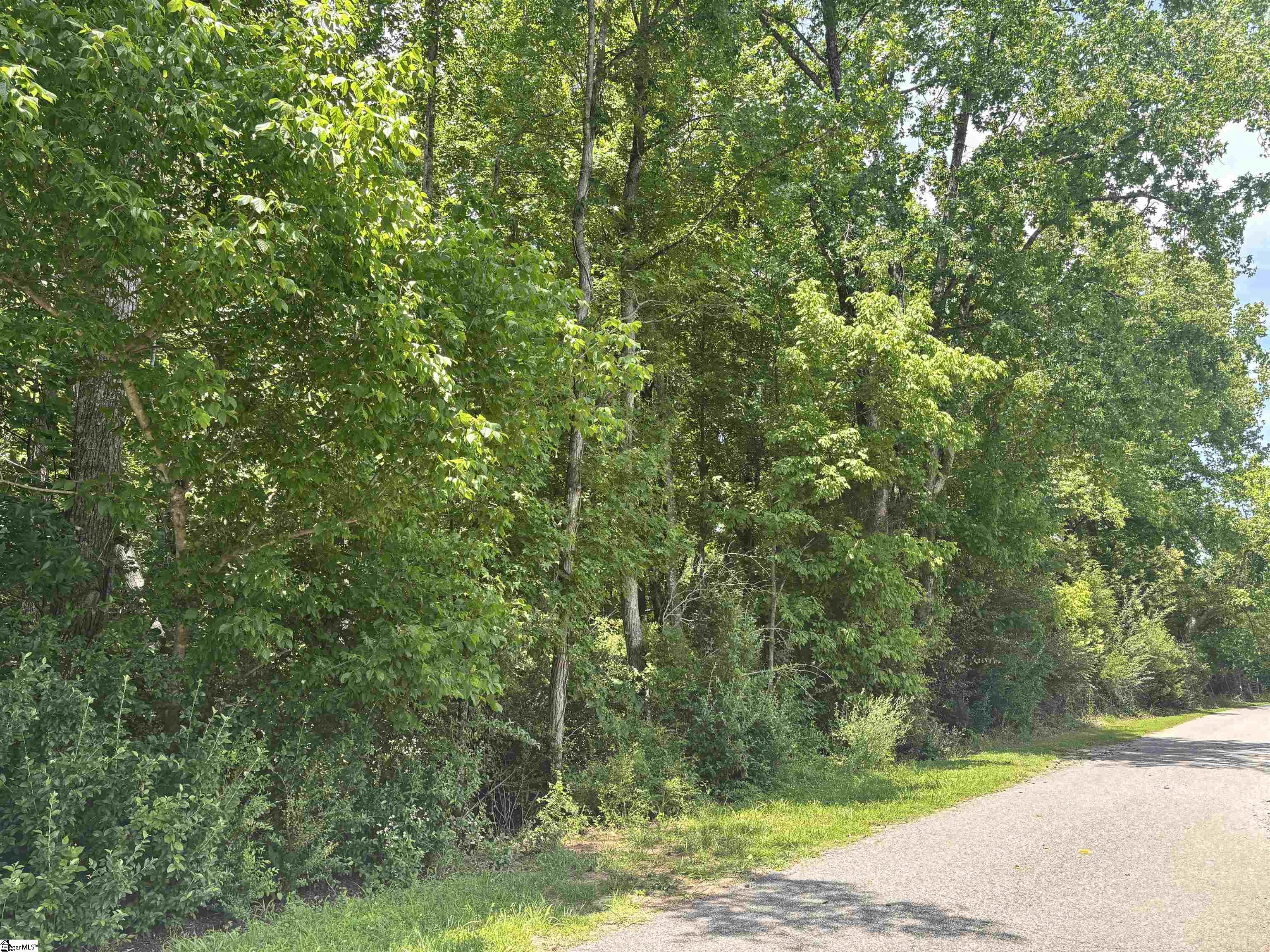 00 Borders Road Blacksburg SC 29702