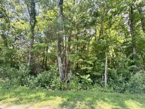 00 Borders Road Blacksburg SC 29702