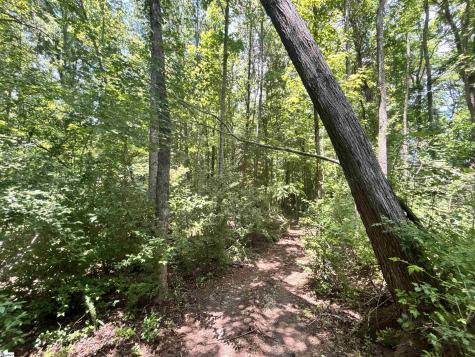 00 Borders Road Blacksburg SC 29702