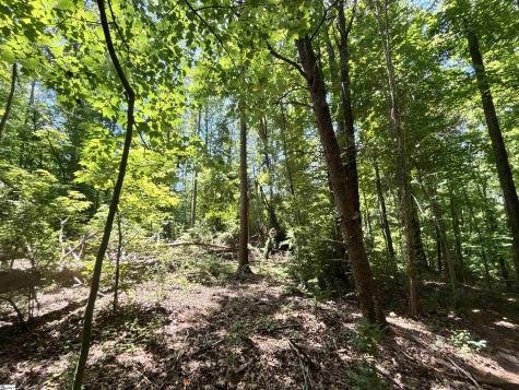 00 Borders Road Blacksburg SC 29702
