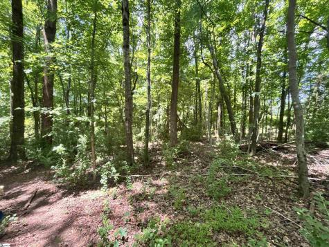 00 Borders Road Blacksburg SC 29702