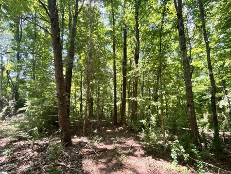 00 Borders Road Blacksburg SC 29702