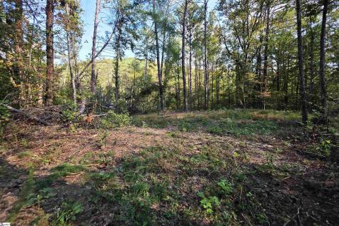 126 Valley Lake Trail Travelers Rest SC 29690