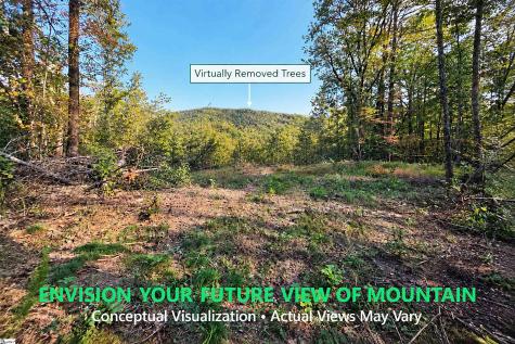 126 Valley Lake Trail Travelers Rest SC 29690