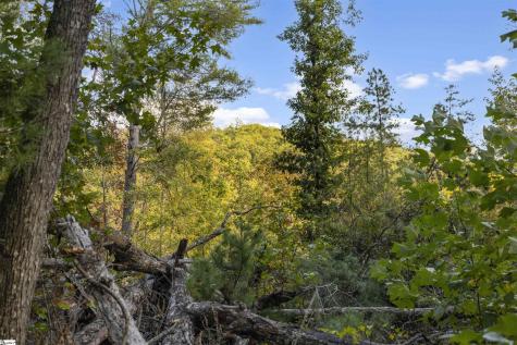 126 Valley Lake Trail Travelers Rest SC 29690