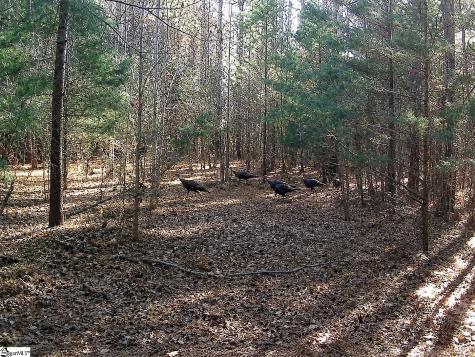 0 Simpson Mill Road Laurens SC 29360