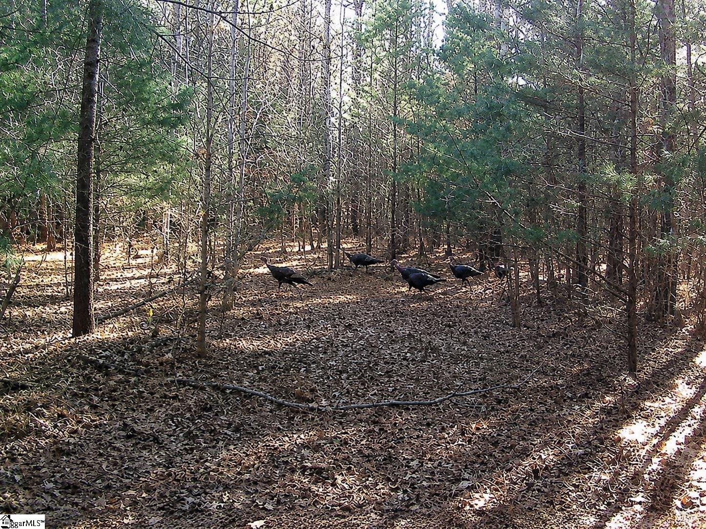 0 Simpson Mill Road Laurens SC 29360
