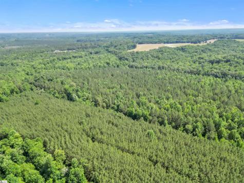 0 Simpson Mill Road Laurens SC 29360