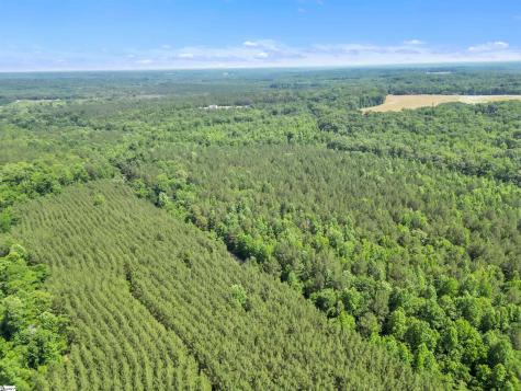 0 Simpson Mill Road Laurens SC 29360