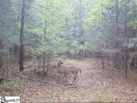 0 Simpson Mill Road Laurens SC 29360