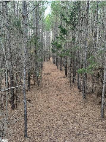 0 Simpson Mill Road Laurens SC 29360