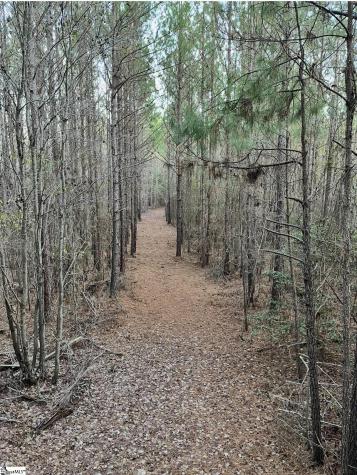 0 Simpson Mill Road Laurens SC 29360