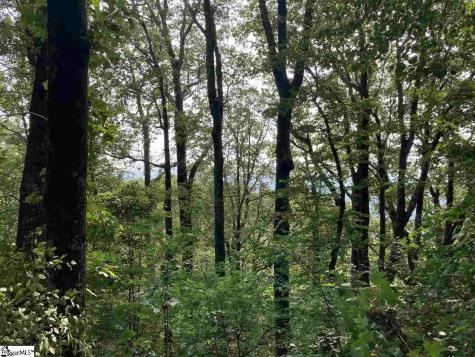 Boulder Lookout Drive Landrum SC 29356