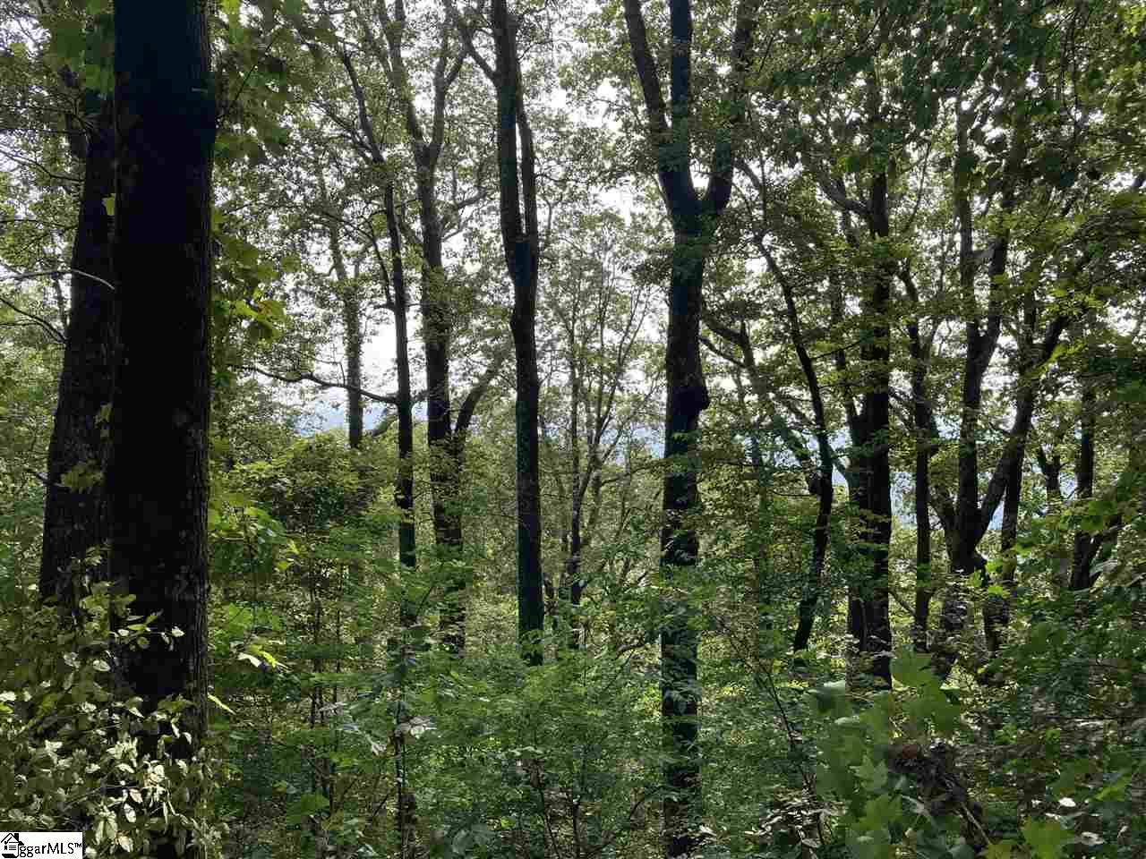 Boulder Lookout Drive Landrum SC 29356