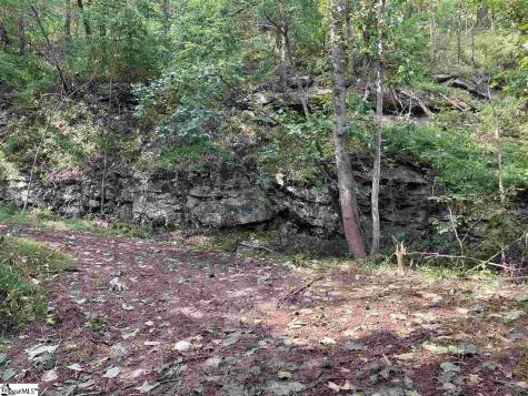 Boulder Lookout Drive Landrum SC 29356